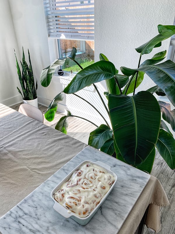 Pumpkin spice rolls on a table with plants in the background.
